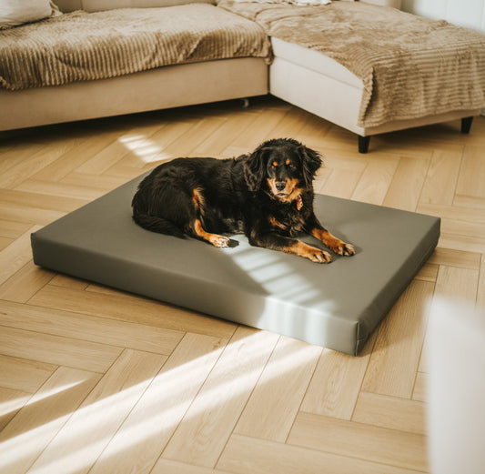 Materac dla psa Ekoskóra Visco