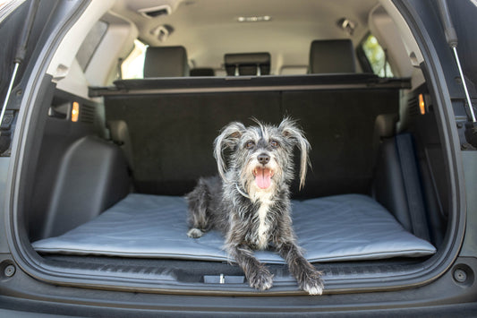 Mata dla psa Bella z Ekoskóry