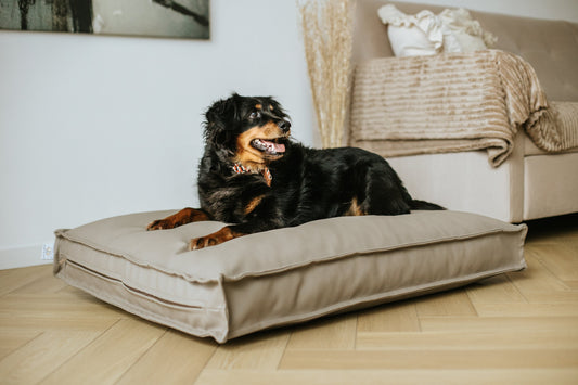 Legowisko dla psa CLASSIC Ekoskóra - Termoaktywna Pianka