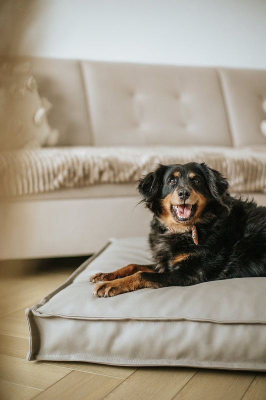 Legowisko dla psa CLASSIC Ekoskóra - Termoaktywna Pianka