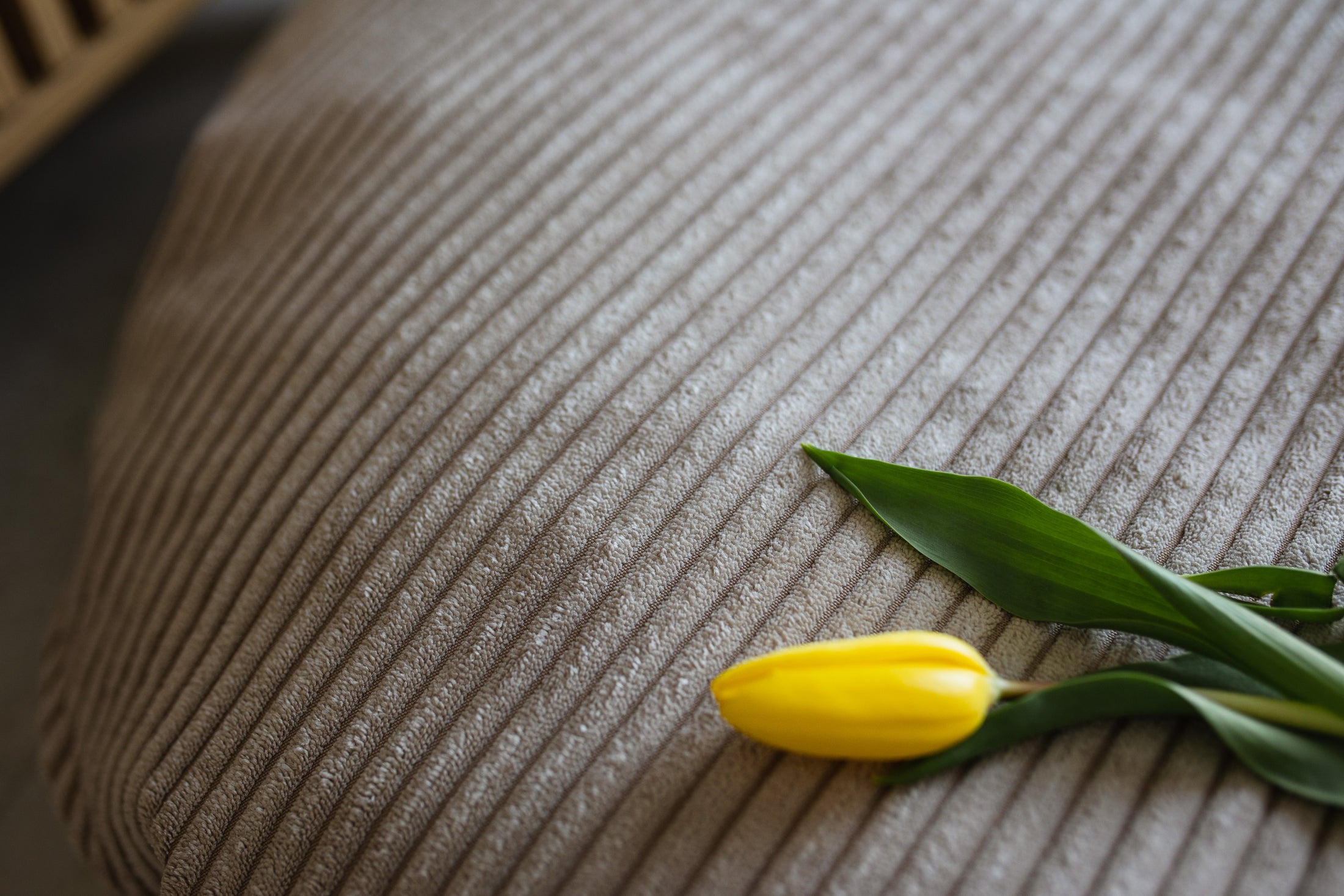 Pufa Naleśnik Beanbag Sztruks